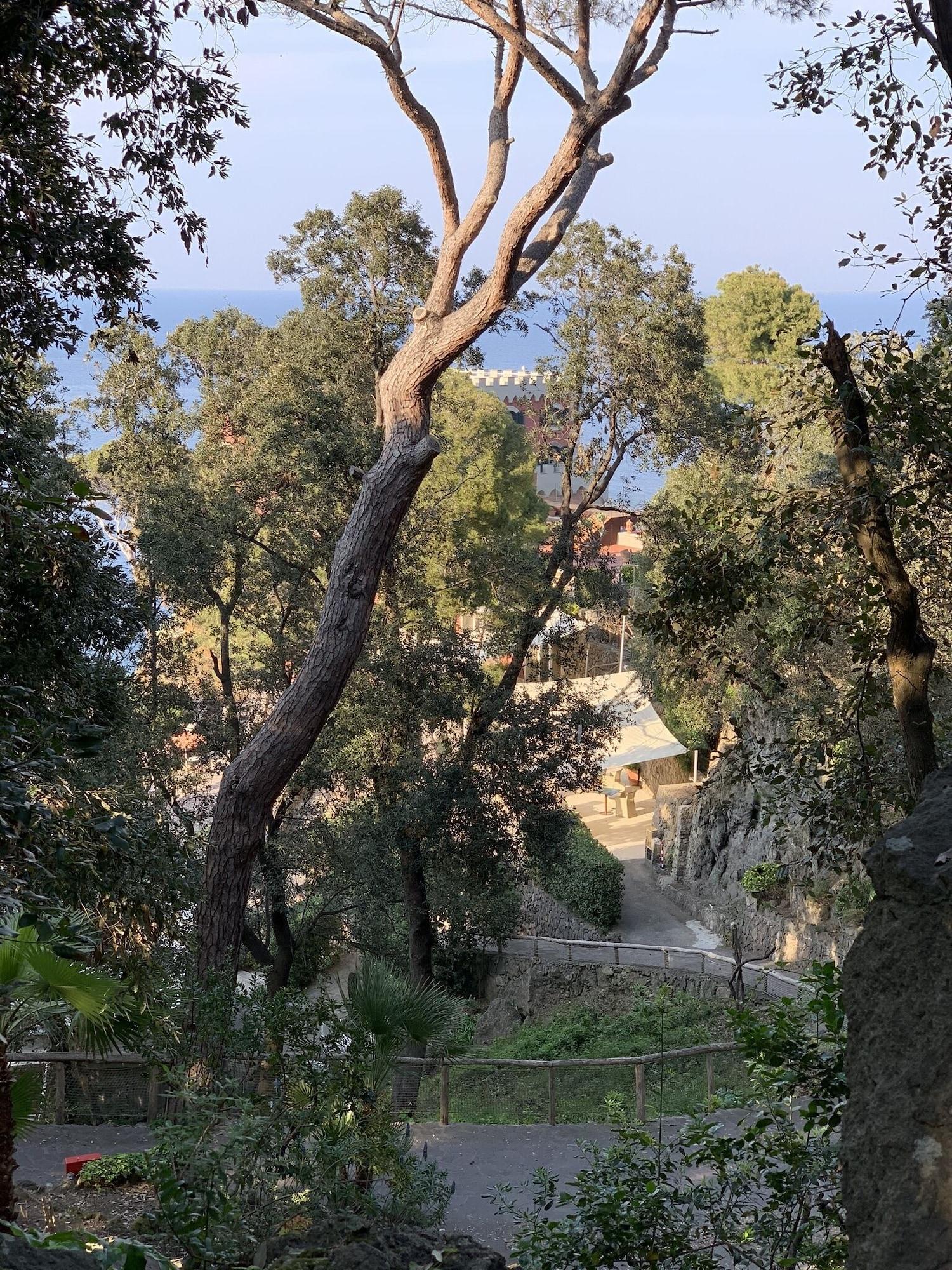 Mezzatorre Hotel&Thermal Spa Forio di Ischia Esterno foto